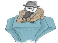 皮山县取证公司解说第三者承担离婚赔偿责任吗